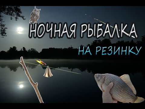 Видео: Ночная рыбалка на резинку рыба не давала спать