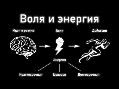 Видео: Воля и энергия в саморазвитии. Глава 32. Введение в автоэволюционику