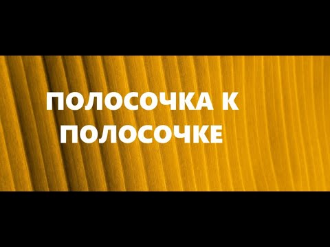 Видео: Косметички из узких полосок.Шитьё из полос.(октябрь 2024г)