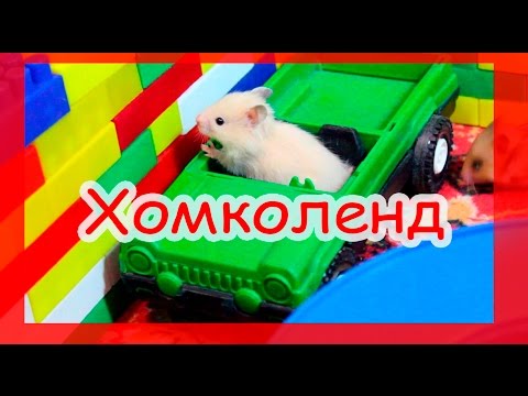 Видео: Хомяки в диснейленде )