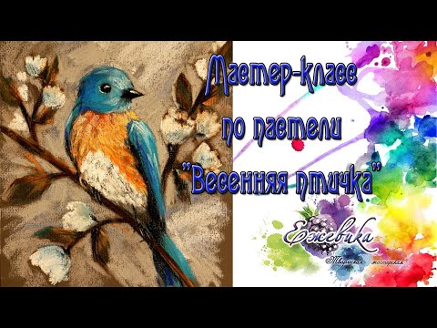 Видео: Мастер-класс пастель "Весенняя птичка" 2020 Ежевика Наталия Рудый