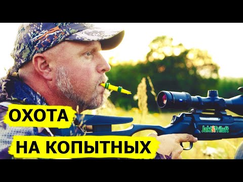 Видео: Косуля. Охота на копытных в Норвегии. Охотничьи приключения в Норвегии (Охотник и рыболов)