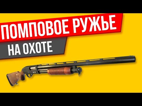 Видео: Помповое ружье на охоте, рассуждения