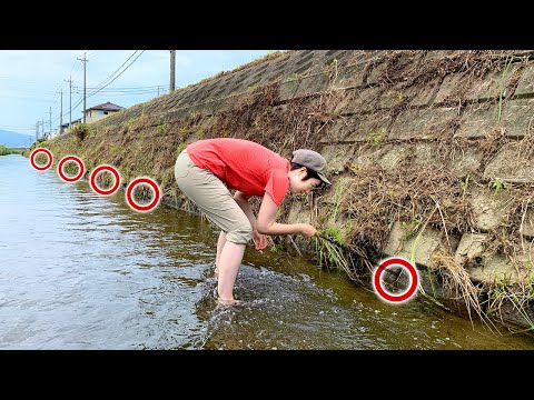 Видео: Если закинуть наживку в 300 лунок, можно поймать много элитной рыбы!