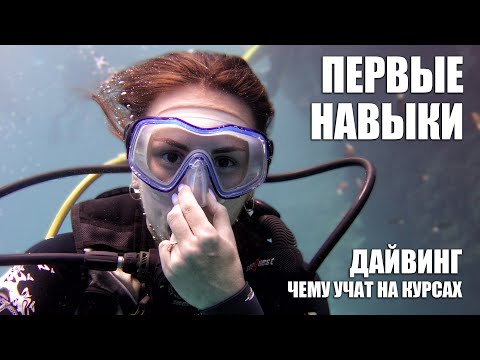 Видео: Чему учат на курсах дайвинга - первые упражнения