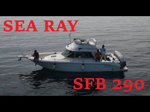 Видео: Обзор катера SeaRay SFB 290. Volvo penta AD41B\DP290.