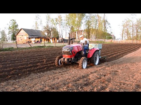 Видео: Садим картофель по серьёзному.