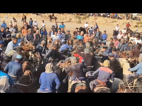 Видео: Кўкдала тумани Чиял Ж/Х Оқтўнли к #Жонқобилов_Акмал Акани Купкариси