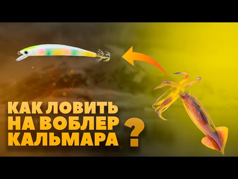 Видео: Как ловить кальмара на воблер, ошибки новичков.