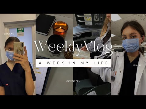 Видео: WEEKLY VLOG: стоматологический факультет 2/5 | учеба | лекции | рутина