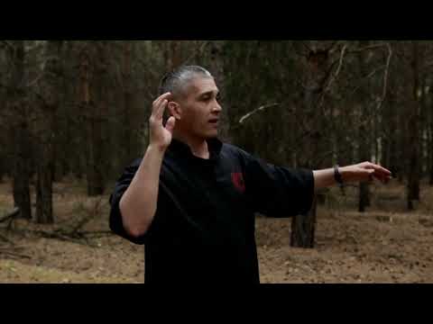 Видео: Развитие скорости удара - как тренировать