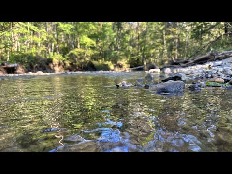 Видео: Ловля Хариуса, Пеструшки, Форели (Мальма) | Горная рыбалка | Mountain fishing