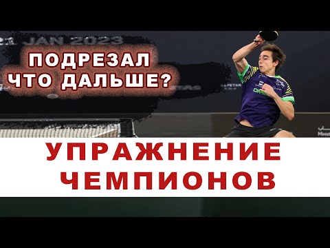 Видео: ПОДРЕЗАЛ, ЧТО ДАЛЬШЕ? КОМБИНАЦИЯ ЧЕМПИОНОВ. Настольный теннис уроки робот фора спецназ.