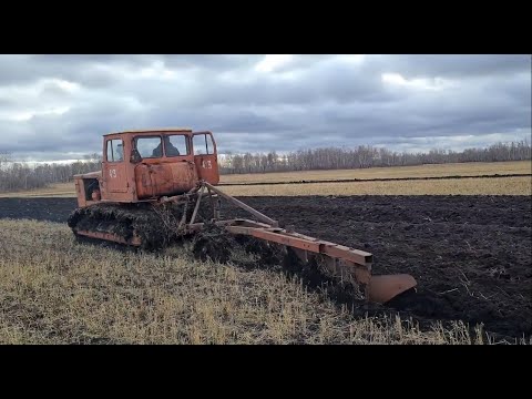 Видео: Тракторы Т-4 пашут поля! Soviet powerful T-4 tractors plow fields