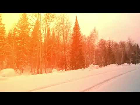 Видео: 23.01.2025. Охота с руской гончей, первый 25 года, 18й в сезоне