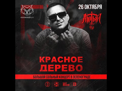 Видео: Красное Дерево | 26 октября | Зеленоград  | SOVA