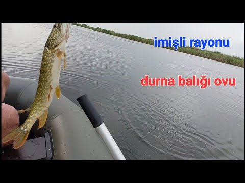 Видео: Durna balığı ovu.Ловля щуки. (26.06.2022.)