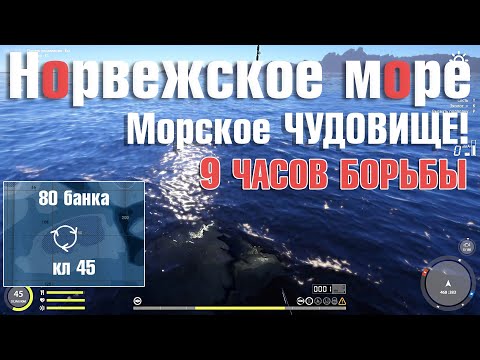 Видео: 9 часов борьбы с акулой • Морское чудовище • Норвежское Море • Русская Рыбалка 4