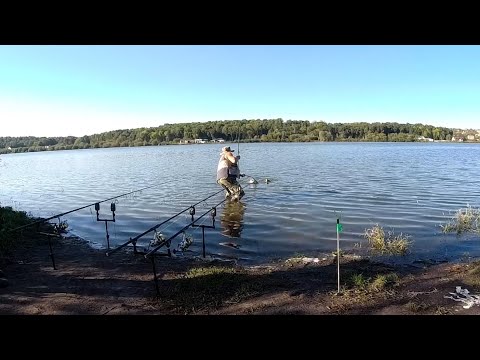 Видео: ПОРИБАЛИВ, НЕ ОЧІКУВАВ ТАКОГО!