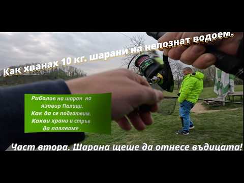 Видео: ШАРАНА щеше да ОТНЕСЕ въдицата. Риболов на ШАРАН на яз.  ПАЛИЦИ. Част втора. РАБОТЕЩИ СТЪРВ и ХРАНА.