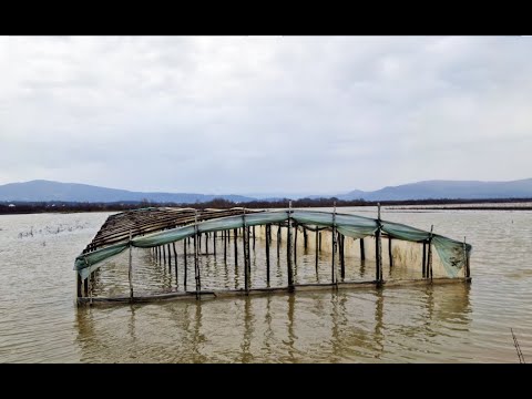 Видео: Зачем на поле нужен дренаж?