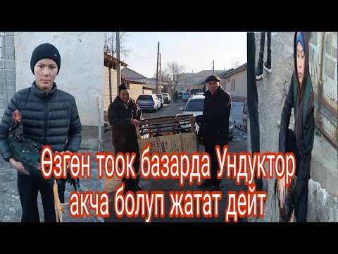 Видео: Өзгөн тоок үндүк базары кызыды.Азыр эсиң болсо Үндүк бак болуп калган окшойт 🤔#horse #kyrgyzstan