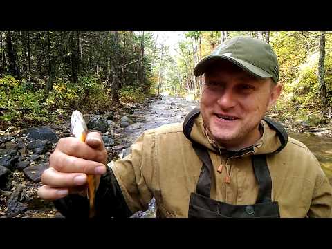 Видео: Рыбалка на р. Алексеевка. Ловим форель.Сентябрь 2018 г. Поход на гору Ольховая.