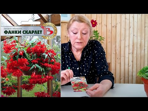 Видео: Новинки от Биотехники 2021