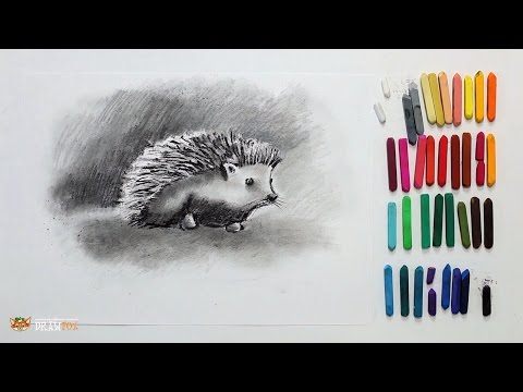 Видео: Курс рисования "Сухая пастель" Начинающие. Урок 2-3. Ежик.