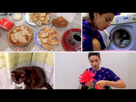 Видео: VLOG: Блинный день/ ДР у Коржика / Стирка /Кашпо с цветами / Мама Вика
