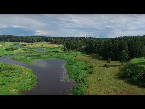 Видео: Пушкинский Заповедник из поднебесья
