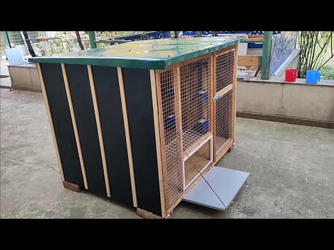 Видео: Бойние голуби. Как собрать гоную будку.  05.11.25 Грузия Тбилиси 