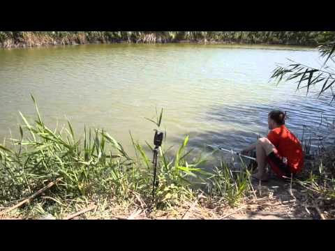 Видео: Зачетная рыбалка в Ставропольском крае