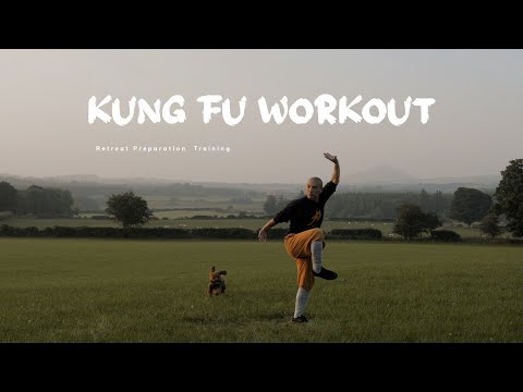 Видео: 20-минутная тренировка кунг-фу с Шифу Ян Синем