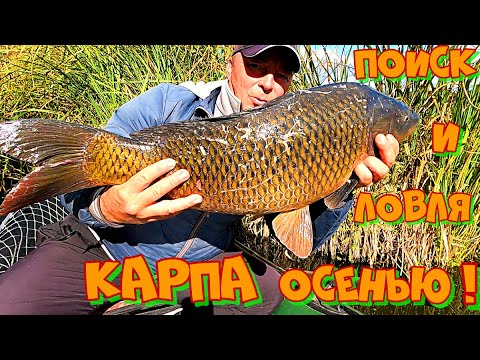 Видео: КАК ПОЙМАТЬ КАРПА ОСЕНЬЮ ? ПОИСК места ЛОВЛИ по ХОЛОДНОЙ ВОДЕ . РЫБАЛКА на УДОЧКУ с БОКОВЫМ КИВКОМ !