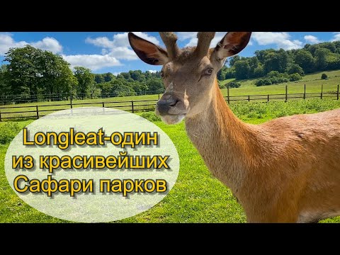 Видео: Vlog 499- Longleat - один из красивейших сафари парков