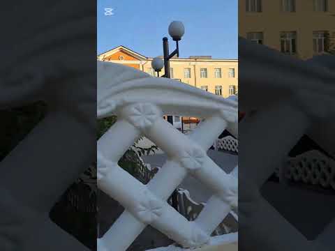 Видео: 23 августа 2025 г.