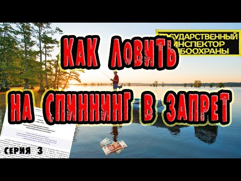 Видео: Ловля в запрет!Спиннинг в нерестовый запрет!Как ловить?Весенне-нерестовый запрет!!!