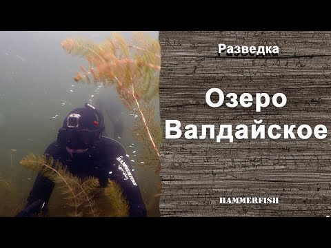 Видео: Валдайское озеро. Подводная охота на Валдае. Гидрокостюмы HAMMERFISH