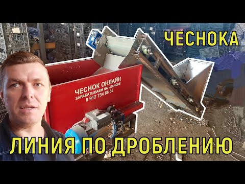 Видео: ДРОБЛЕНИЕ ЧЕСНОКА ПРОИЗВОДИТЕЛЬНОСТЬ 1 ТОННА В СМЕНУ!!!