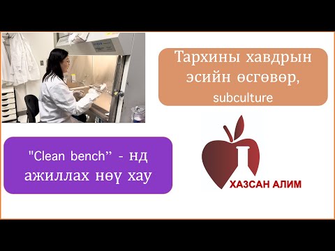 Видео: ЭСИЙН ӨСГӨВӨР ХИЙДЭГ ХҮМҮҮС ЗААВАЛ ҮЗЭХ БИЧЛЭГ🤯