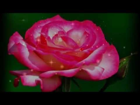 Видео: Вам, мои друзья!!!