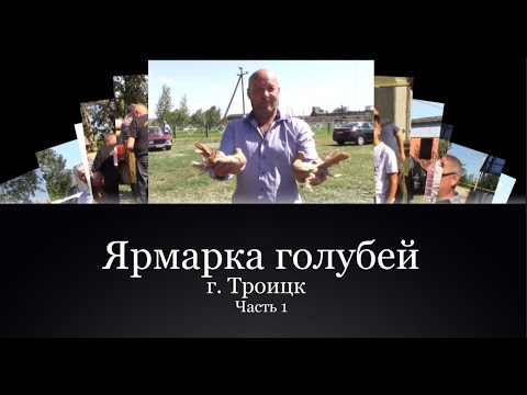Видео: Ярмарка голубей/г. Троицк. 12 августа 2023г - Часть 1