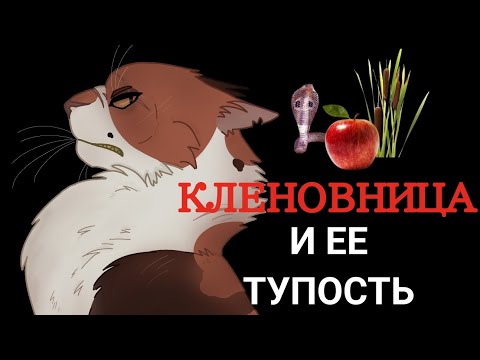 Видео: КЛЕНОВНИЦА И ЕЕ ТУПОСТЬ || коты-воители || #фыркающая #кленовница #котывоители 