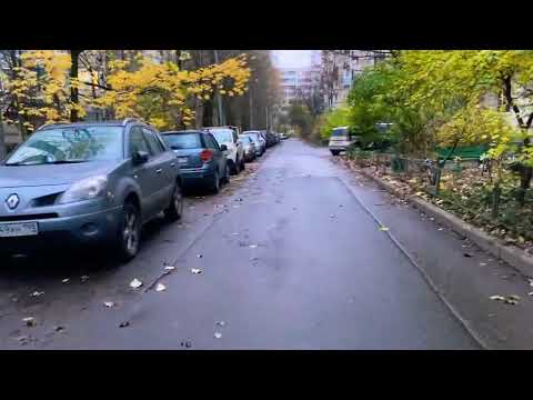 Видео: Всем доброго и прекрасного утра и доброго дня пятницы 31.10.+7 мира и здоровья 