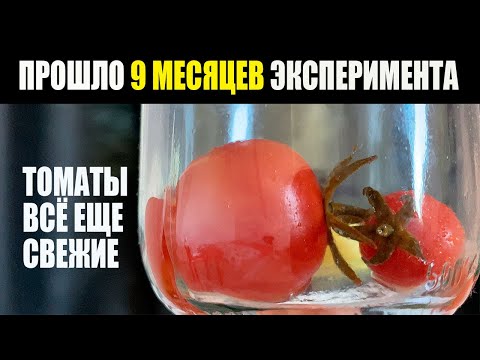 Видео: 😲 Ужас Или Чудо? Что Произошло С Томатами Через 9 Месяцев Хранения!