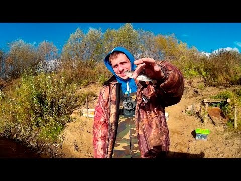 Видео: Октябрьская рыбалка на Оке. БЛП #Live, эпизод 4