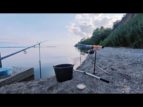 Видео: В поисках Камского леща часть 1
