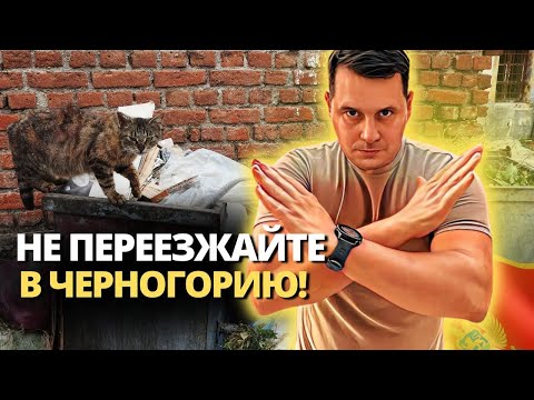 Видео: Не переезжайте в Черногорию! НАКИПЕЛО🙅🏻‍♂️| Черногория 2024