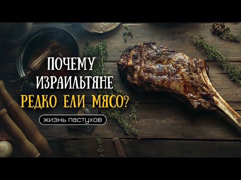 Видео: Как на самом деле жили библейские патриархи? Пастухи в Израиле